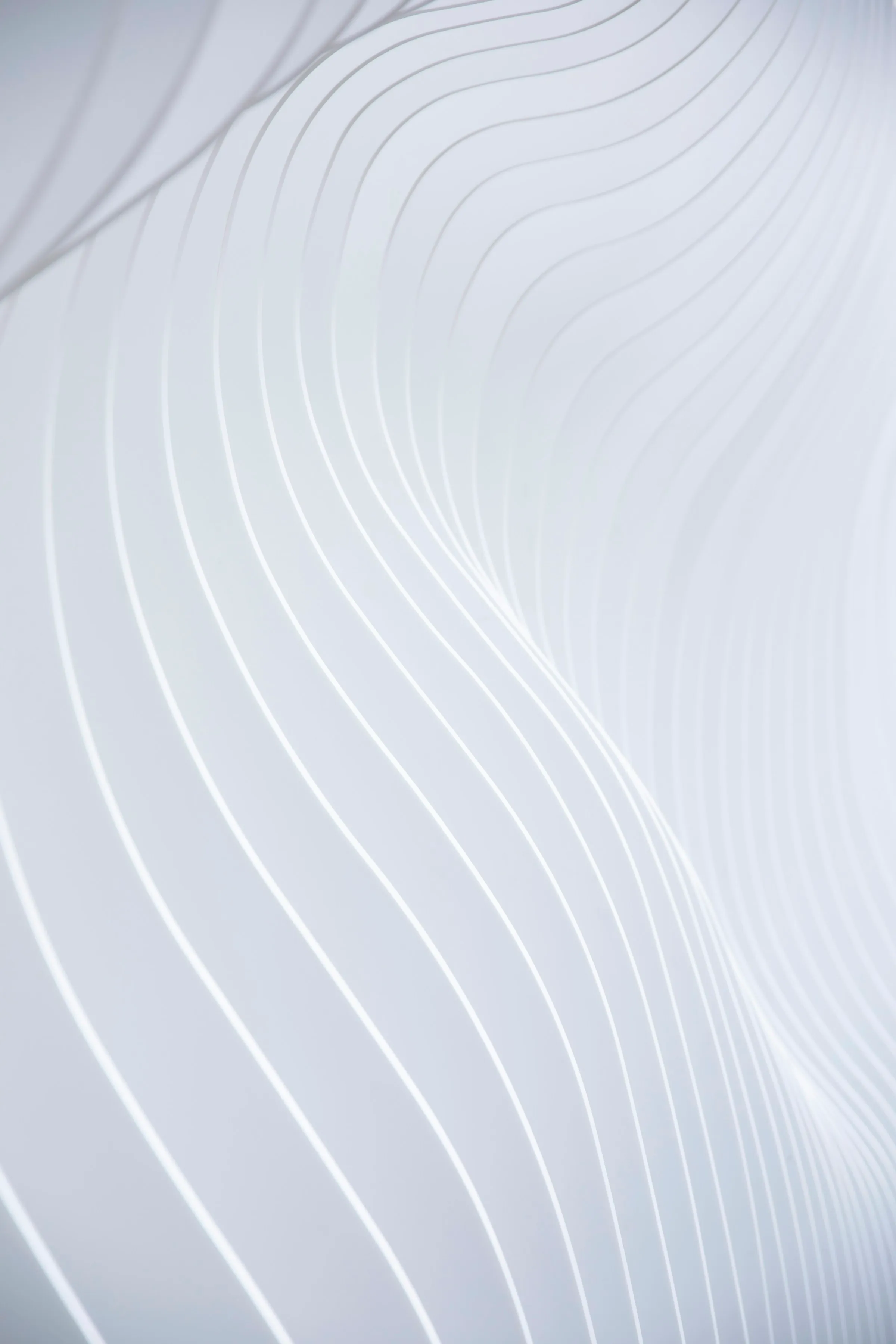 Abstract overlapping translucent shapes in vibrant colours — a visual metaphor for the homogenisation of modern brand design
